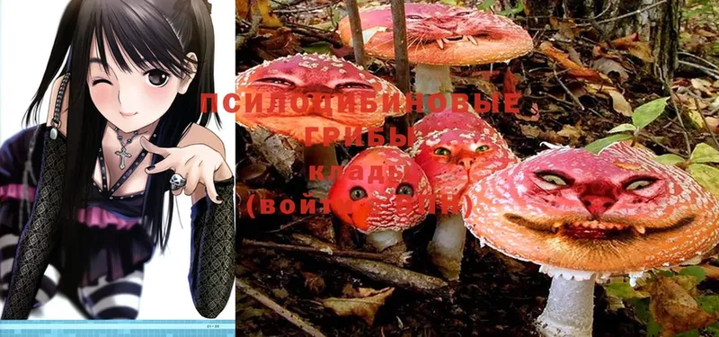 OMG как войти  Новоаннинский  Галлюциногенные грибы MAGIC MUSHROOMS  закладки 